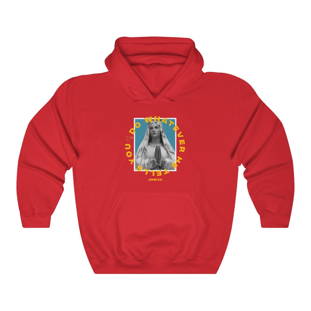 Our Lady of Lourdes Unisex Hoodie